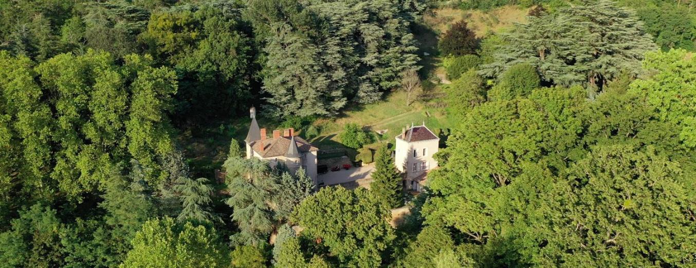 La Cabane De La Saone, Lyon Country House Caluire-et-Cuire Buitenkant foto