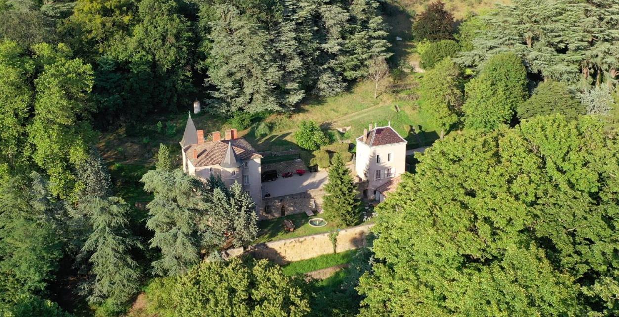 La Cabane De La Saone, Lyon Country House Caluire-et-Cuire Buitenkant foto