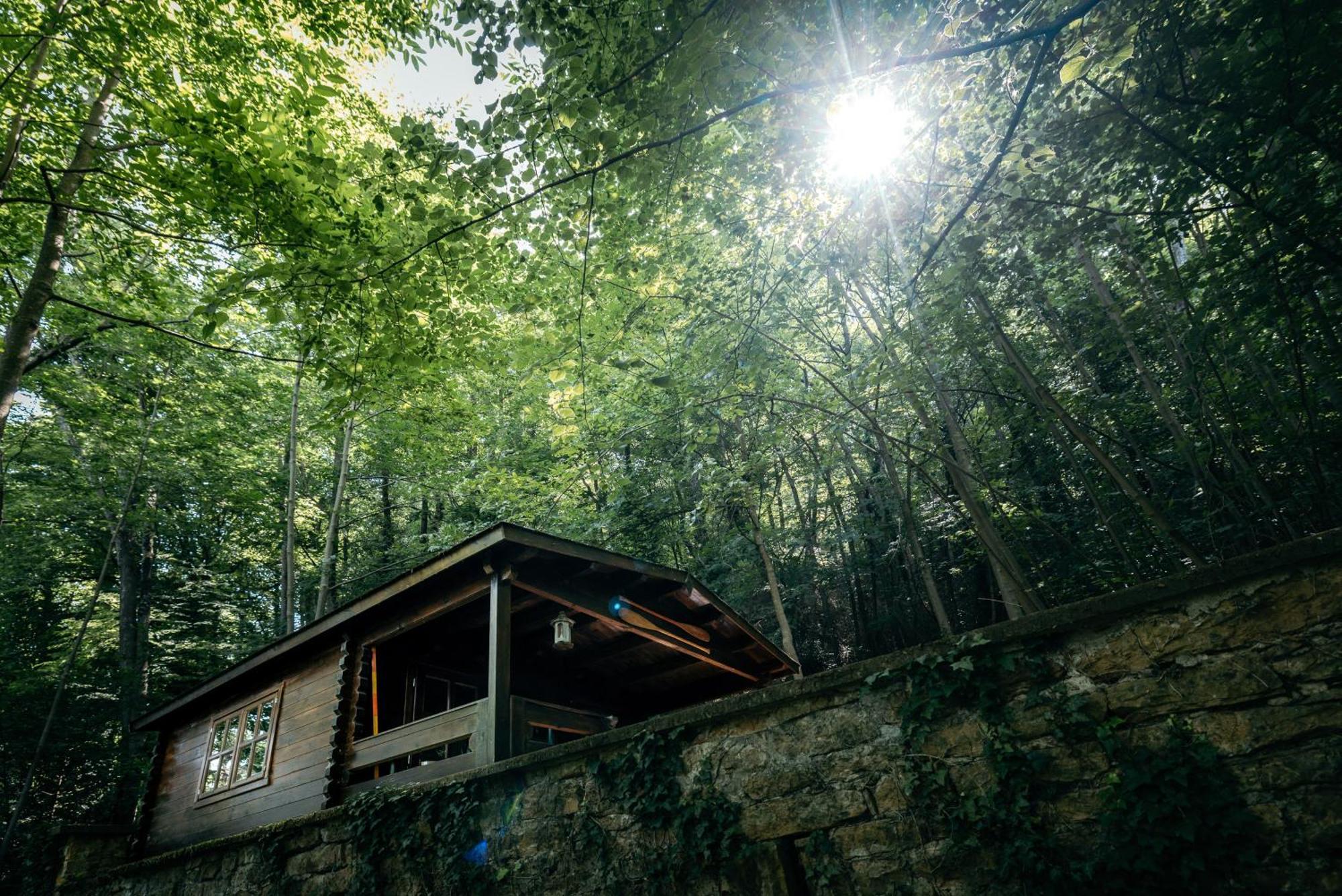 La Cabane De La Saone, Lyon Country House Caluire-et-Cuire Buitenkant foto