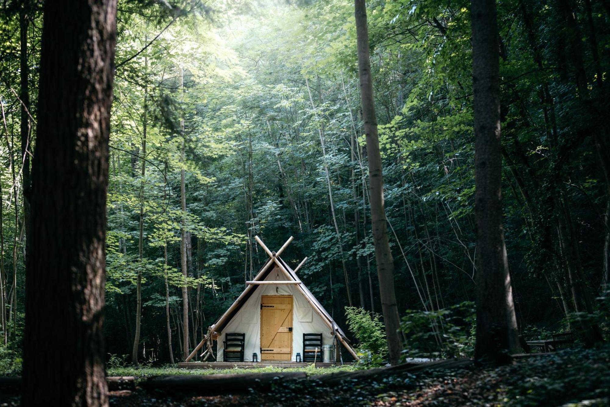 La Cabane De La Saone, Lyon Country House Caluire-et-Cuire Buitenkant foto